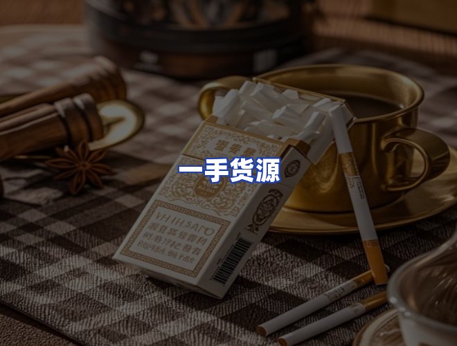 专业团队